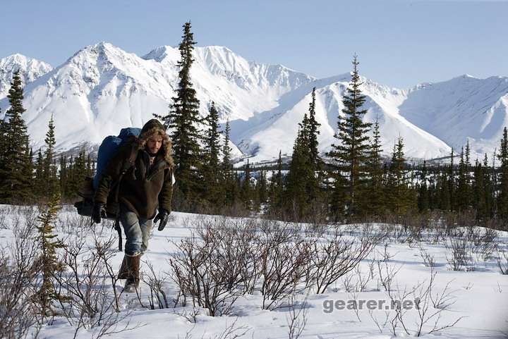 into the wild_01.jpg